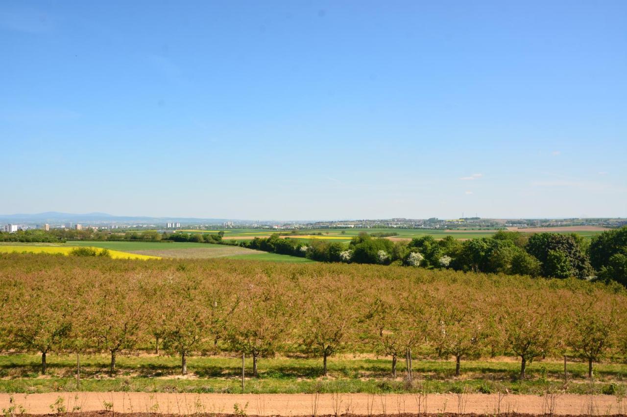 Weingut Bugner Meizelhof Klein-Winternheim ภายนอก รูปภาพ